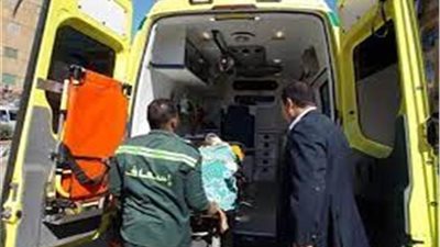 الغربية تحزن.. مصرع طفل في حادث بشع بمدينة طنطا 