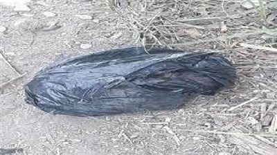العثور على جثة طفل داخل كيس أسود في نجع عمر بقنا