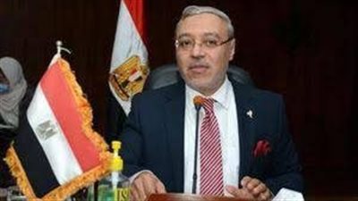 محمود ذكي: ٣٠ يونيو أنقذت مصر من مخطط الفوضى والإرهاب