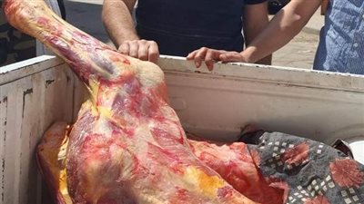 تفاصيل ضبط 11ألف عبوة مبيد مجهولة المصدر وأطنان لحوم وأسماك فاسدة بالمنوفية 