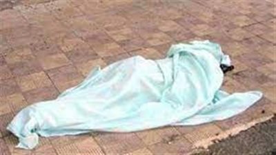 مصرع تلميذة أسفل عجلات عربة كارو فى المنيا 