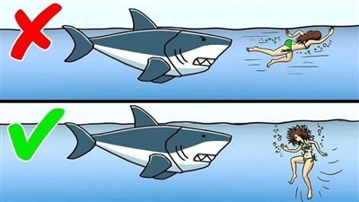 5 نصائح لتجنب هجوم سمك القرش أثناء السباحة
