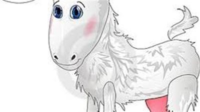 نصائح وإرشادات لتناول لحوم الأضاحي بسلام 