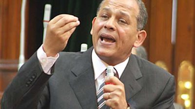 السادات يدعو لدراسة أبعاد توسع الاستثمارات والاستحواذات الخليجية في مصر