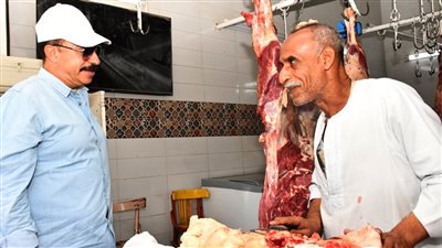 محافظ أسوان يفرض عقوبة 10 آلاف جنيه للمخالفين.. اعرف السبب