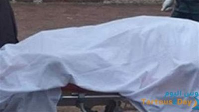 في أول أيام العيد.. دبور ينهي حياة فتاة بطريقة بشعة في الغربية