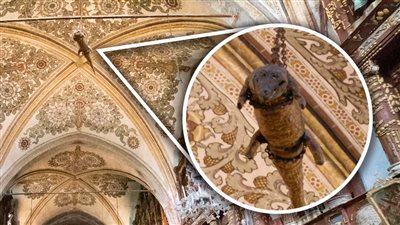 ماذا يفعل التمساح المعلق بكنيسة قديمة بإيطاليا؟ سبب غريب وقصة لا تصدق!