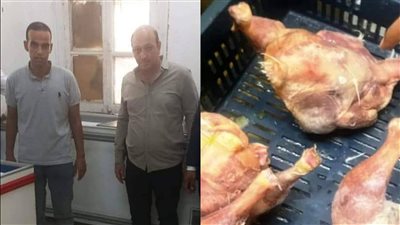 حملة موسعة تكشف «بلاوى» داخل مطاعم أسوان.. اعرف التفاصيل