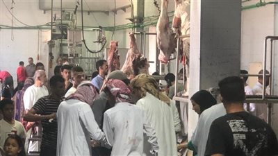 الزراعة: 19623 أضحية استقبلتها المجازر الحكومية حتى الآن