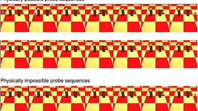 على طريقة في بيتنا روبوت.. قريبًا ابتكار ذكاء اصطناعي يفكر كالبشر تمامًا