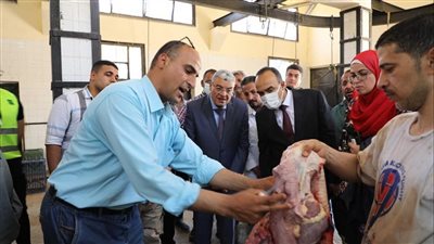 القاضي: استقبال 1292 رأس ماشية داخل المجازر الحكومية بالمنيا خلال أيام العيد