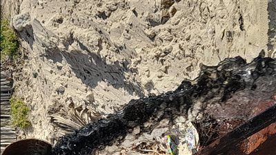 كارثة بيئية بشاطئ 