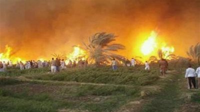 اندلاع حريق هائل في مزرعة محطة الصرف الصحي بسوهاج