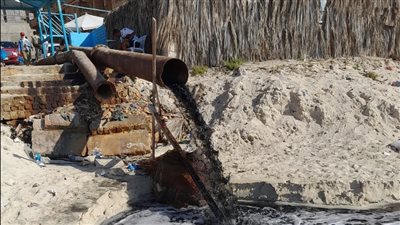 استجابة لما نشره 