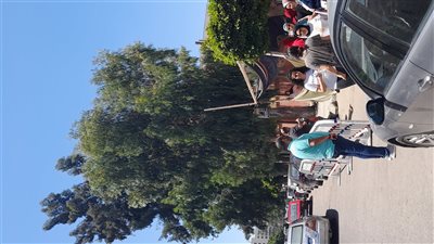 تباين آراء طلاب الثانوية العامة بالإسكندرية حول الجبر والهندسة 