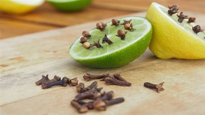 ستفاجئك.. أفضل الطرق الطبيعية لطرد الناموس من المنزل