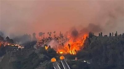 بسبب الحر الشديد.. وفاة أكثر من 500 شخص في إسبانيا