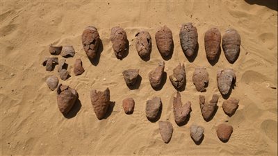 الكشف بقايا مبني لأحد معابد الشمس الأربعة المفقودة من الأسرة الخامسة بأبوصير