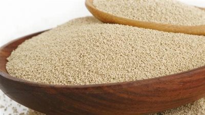 علماء يكتشفون أهمية صحية فائقة لـ الخميرة 