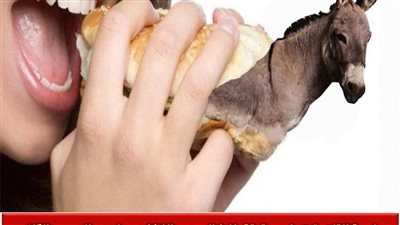 كبير الأطباء البيطريين يوضح خطورة تناول اللحوم المجمدة المخلوطة بلحم الكلاب والحمير 