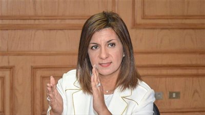 تحركات الدولة لمنع تكرار حوادث الاعتداء على المصريين في الخليج