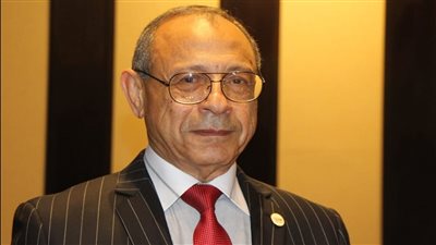 «السيد» يتحدث عن التحركات المصرية ودورها في وقف إطلاق النار بـ«غزة»
