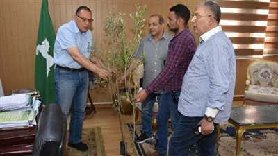 محافظ الشرقية: بدء تنفيذ المبادرة الرئاسية لزراعة 100مليون شجرة بمدن المحافظة