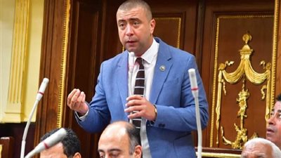 قيادي بحزب «حماة الوطن» يكشف عن أولى مكاسب التشكيل الوزاري الجديد