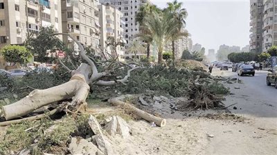 أخطاء الحكومة تهدد بإفشال مؤتمر المناخ