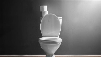 مرحاض بيتسبرغ.. أغرب مكان لقضاء الحاجة بالعالم!