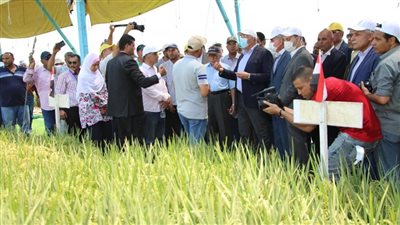 تفاصيل جولة وزير الزراعة بمحطة بحوث سخا في كفر الشيخ 