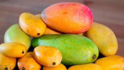 سبب انخفاض أسعار المانجو بالأسواق