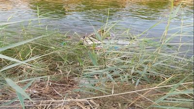 بالأسماء.. مصرع وإصابة 3 شباب في حادث انقلاب سيارة بالترعة الفاروقية بسوهاج