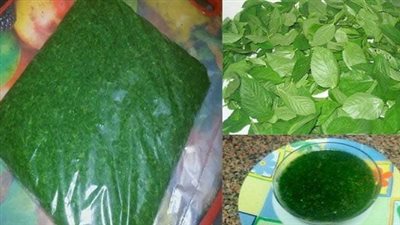 الطرق الصحيحة لتخزين الملوخية الخضراء لمدة سنة