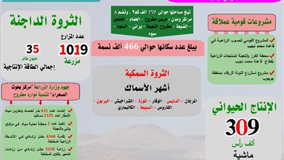 انفوجراف| بمناسبة احتفالاتها بالعيد القومي.. 