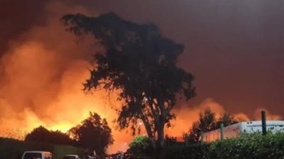 نقابة المهن التمثيلية تدعم عائلة «العدل» بعد حريق استديوهات شبرامنت 