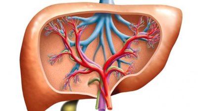 لا تتجاهلها.. أعراض الإصابة بالتهاب الكبد
