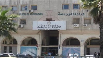 وزارة الزراعة تعلن زرع 1.1 مليون فدان من الأرز