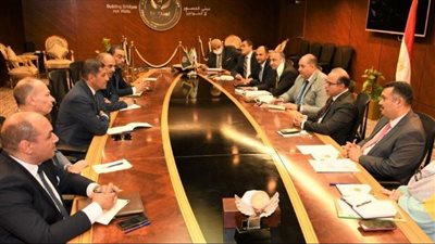 تشكيل لجنة بين الرقابة المالية والاستثمار لتطبيق القرارات على الشركات المقيدة بالبورصة