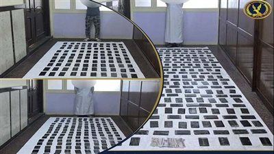 الاستعانة بكلاب البوليس لضبط تجار الكيف قبل ترويج 50 كجم حشيش بالإسكندرية