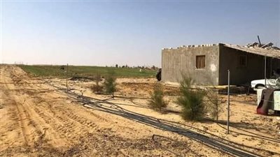 بالأسماء.. تورط كيانات وهمية فى بيع أملاك الدولة تحت ستار «استصلاح الأراضي»