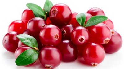 دراسة تكشف عن فوائد صحية مذهلة لتناول التوت البري