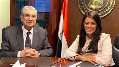 وزيرا التعاون الدولي والكهرباء يبحثان مشروعات الطاقة