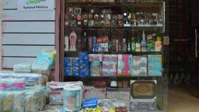 مساعدات مالية لتمويل مشروعات صغيرة للأسر الفقيرة في المنوفية.. اعرف التفاصيل