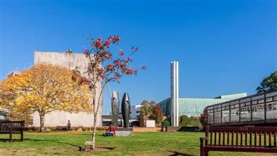 كيف تتخلص من القلق الاجتماعي في بداية حياتك الجامعية؟