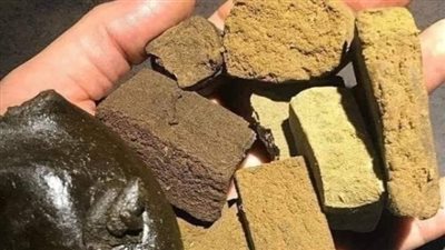 السجن المشدد 10 سنوات لشابين بتهمة تجارة الحشيش فى الجيزة 