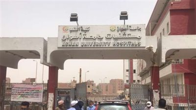 بالاسماء.. إصابة أسرة كاملة فى حادث أليم بأسوان