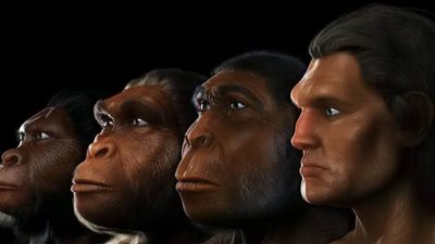 كيف أصبح البشر أكثر ذكاءً من القرود؟