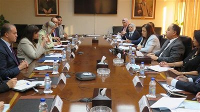 تحركات الحكومة لتحفيز المصريين بالخارج على الاستثمار في مصر