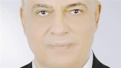 بعد هدمه منذ 15 عامًا.. مركز شباب الابشيط بالمحلة «حبر على ورق»